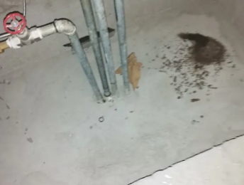 乌鲁木齐卫生间测漏水价格明细