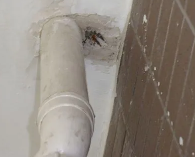 乌鲁木齐漏水检测哪家好